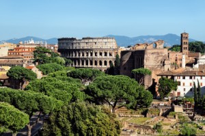 Alberi a Roma